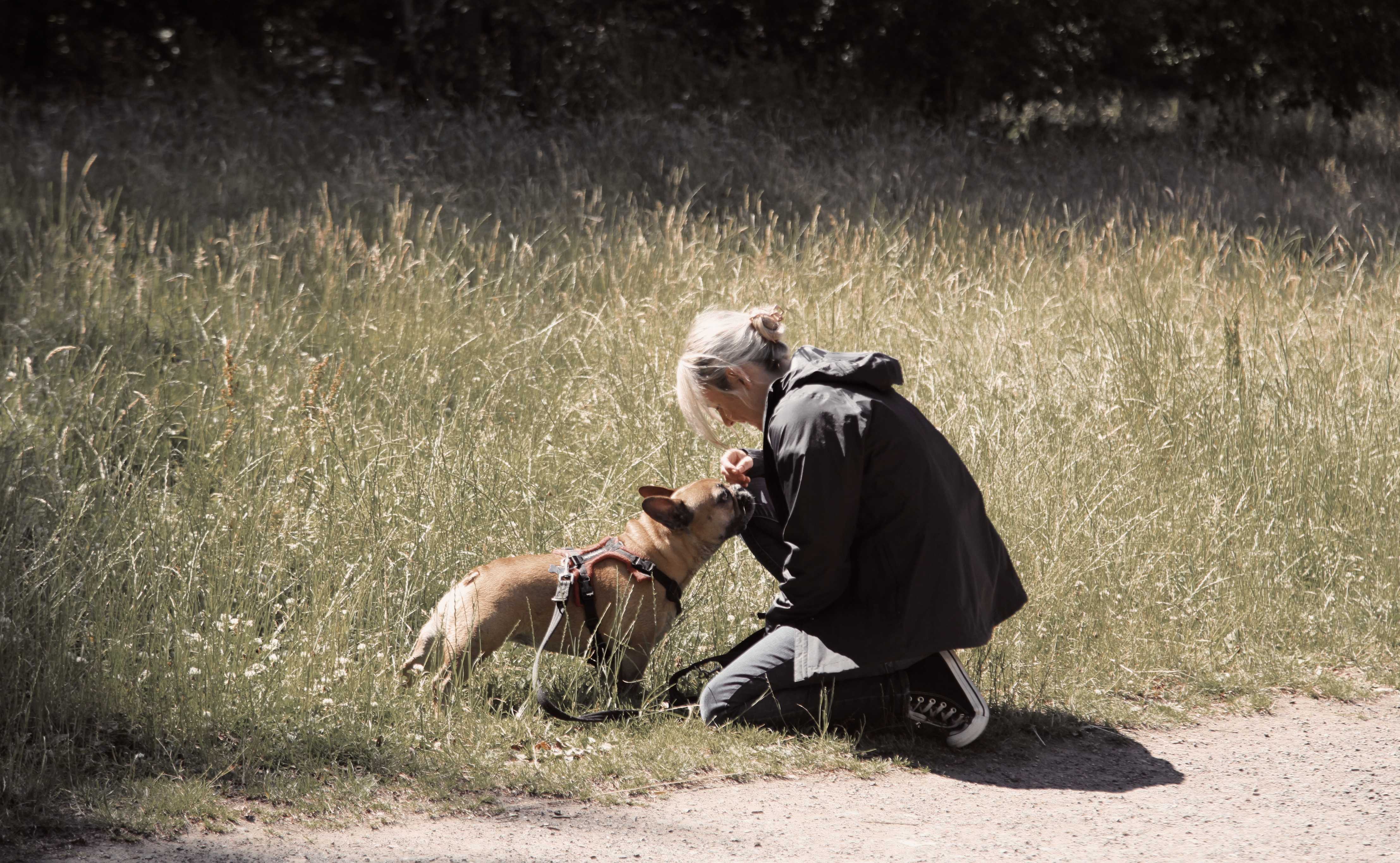 TED: The Enriched Dog Hero Image